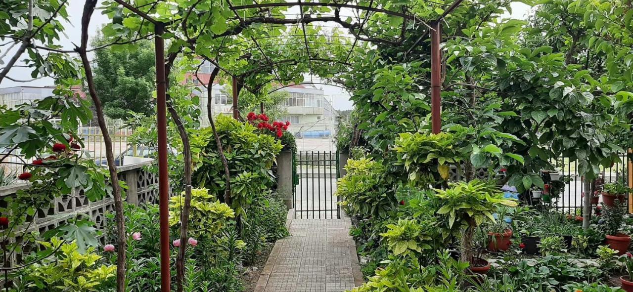 Family House Primorsko公寓 外观 照片